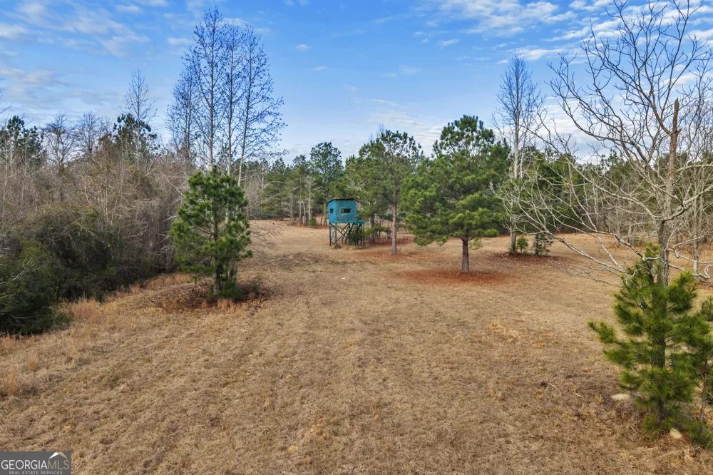 241 Foskey Cemetary RD Adrian, GA 31002