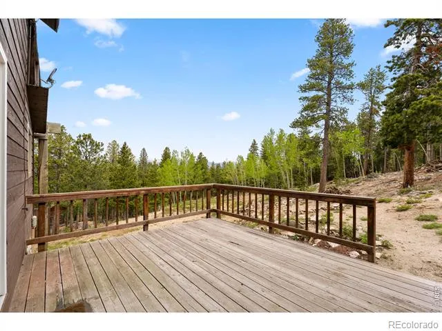 109 Cutforth Road Black Hawk, CO 80422