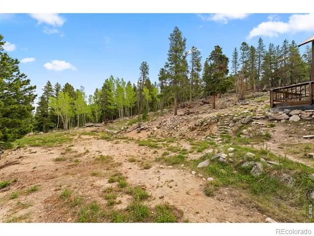 109 Cutforth Road Black Hawk, CO 80422