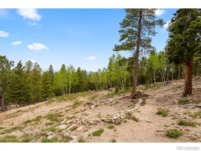109 Cutforth Road Black Hawk, CO 80422