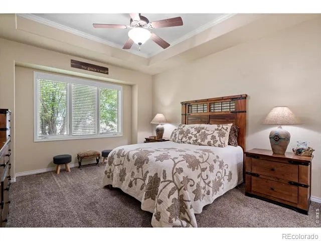 1591 Landon Court Windsor, CO 80550