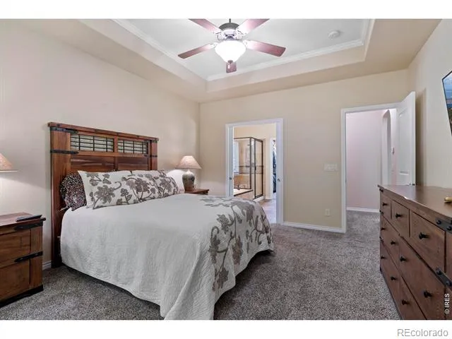 1591 Landon Court Windsor, CO 80550