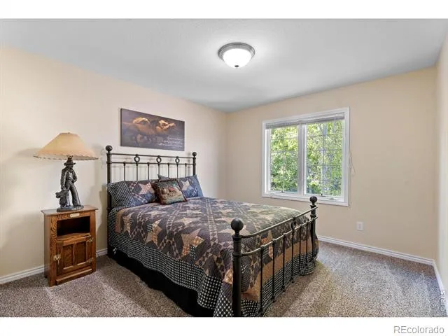 1591 Landon Court Windsor, CO 80550