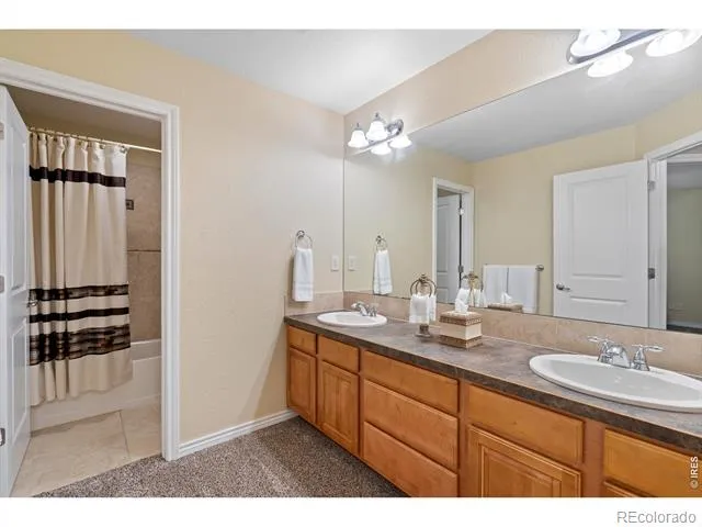 1591 Landon Court Windsor, CO 80550