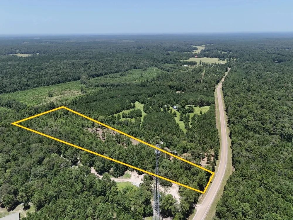 6 E Fm 942 Livingston, TX 77351