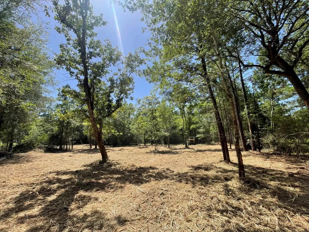 6 E Fm 942 Livingston, TX 77351