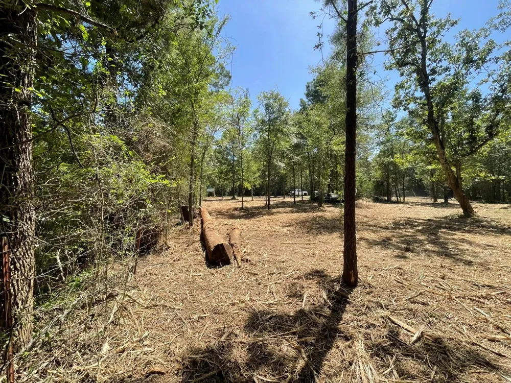 6 E Fm 942 Livingston, TX 77351