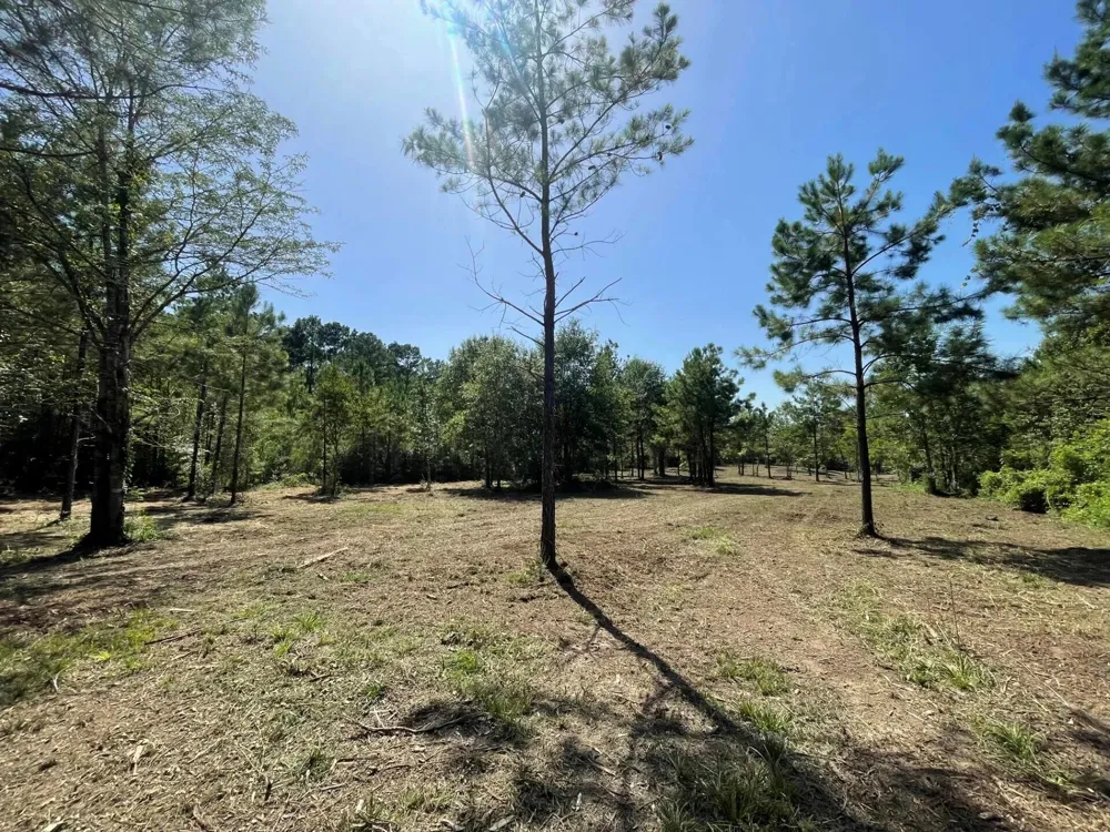 6 E Fm 942 Livingston, TX 77351
