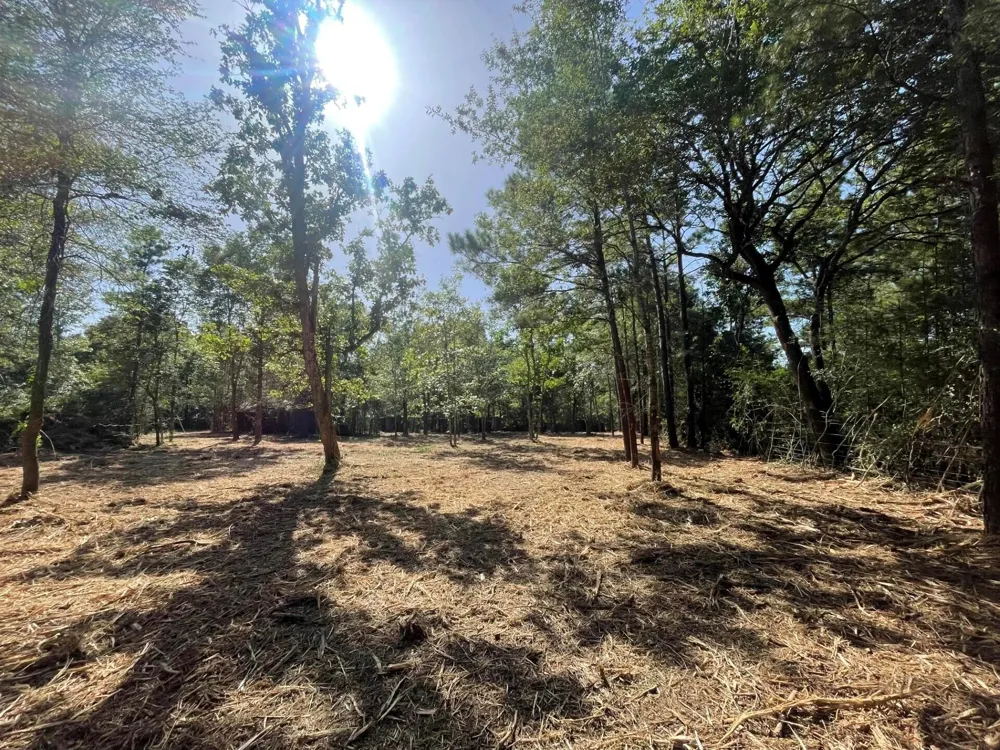 6 E Fm 942 Livingston, TX 77351