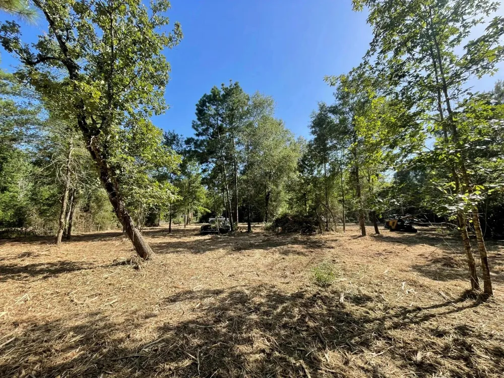 6 E Fm 942 Livingston, TX 77351