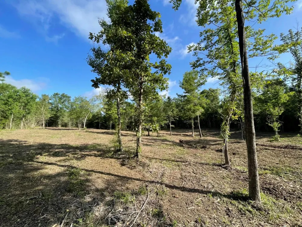 6 E Fm 942 Livingston, TX 77351