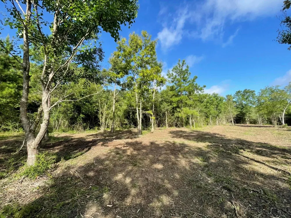 6 E Fm 942 Livingston, TX 77351