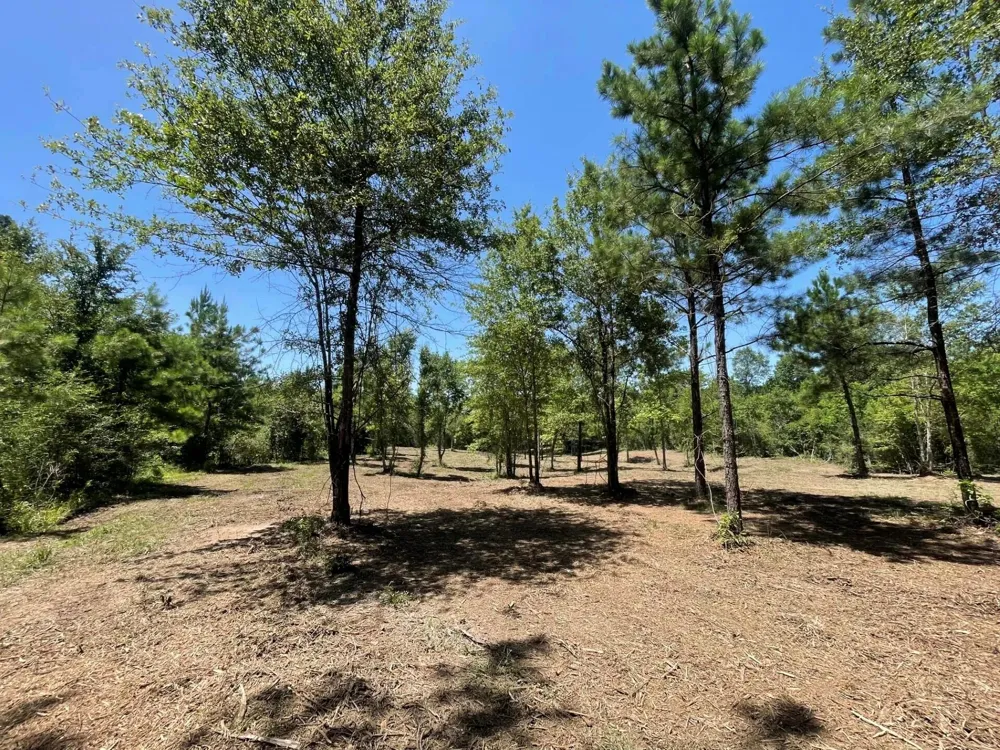 6 E Fm 942 Livingston, TX 77351