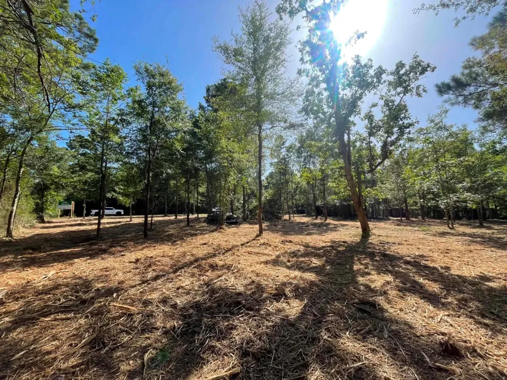 6 E Fm 942 Livingston, TX 77351