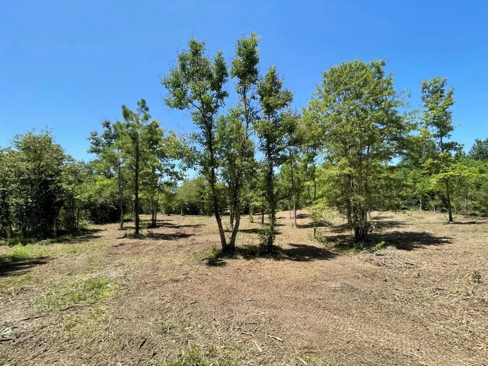 6 E Fm 942 Livingston, TX 77351