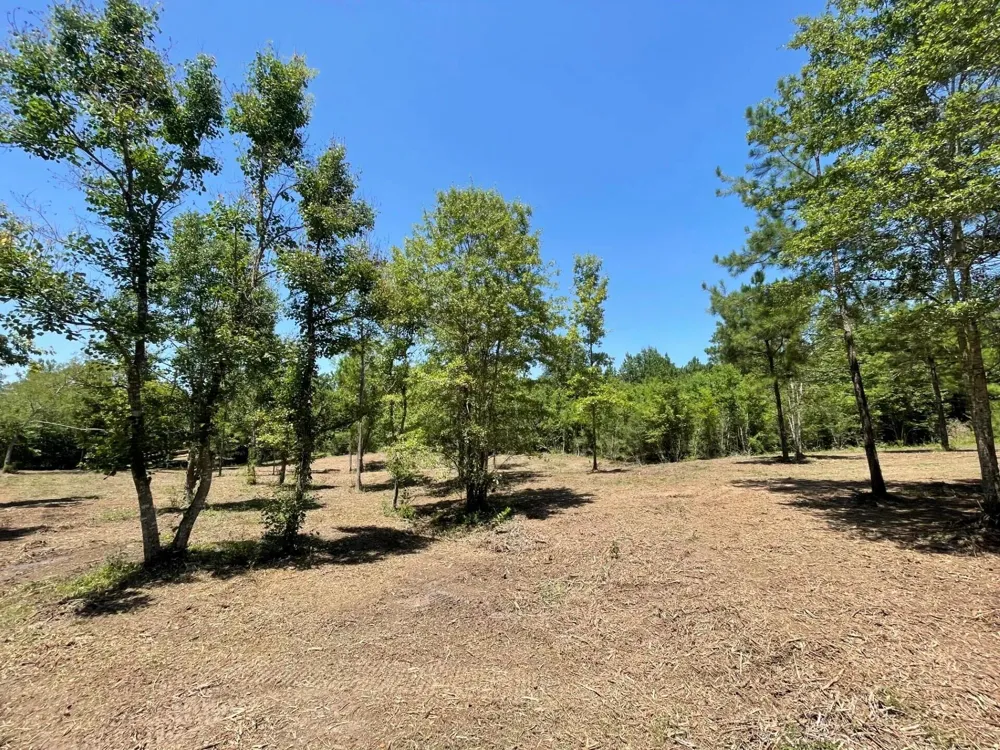 6 E Fm 942 Livingston, TX 77351
