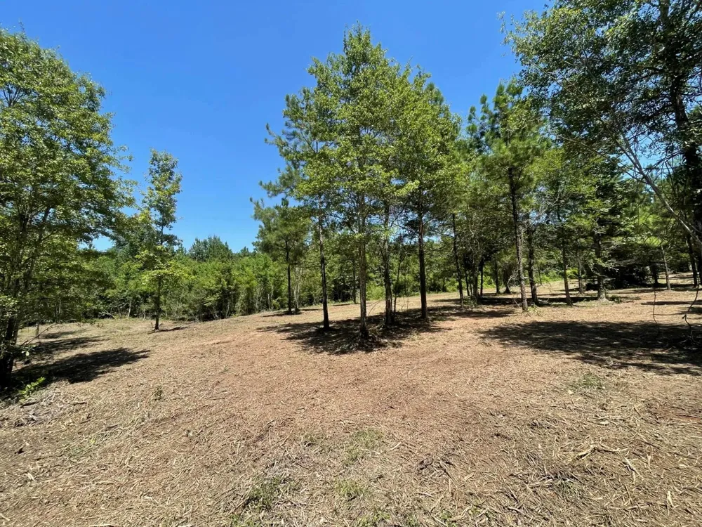 6 E Fm 942 Livingston, TX 77351
