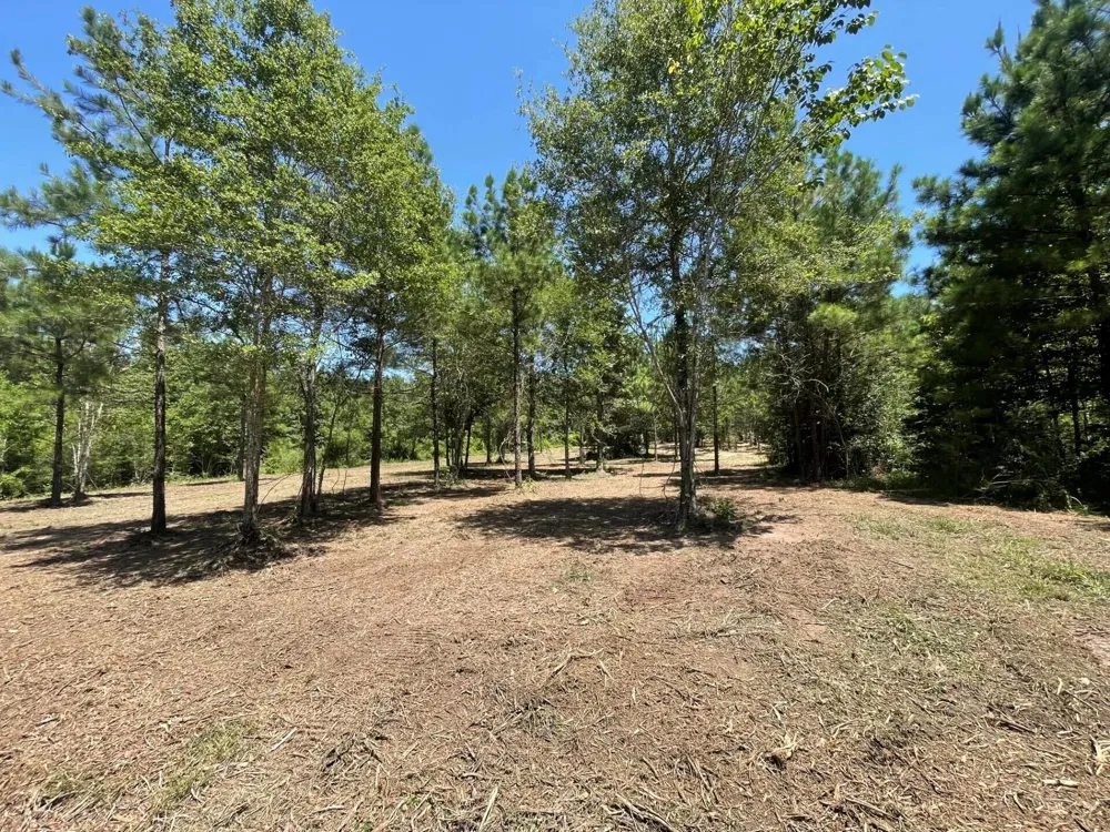 6 E Fm 942 Livingston, TX 77351