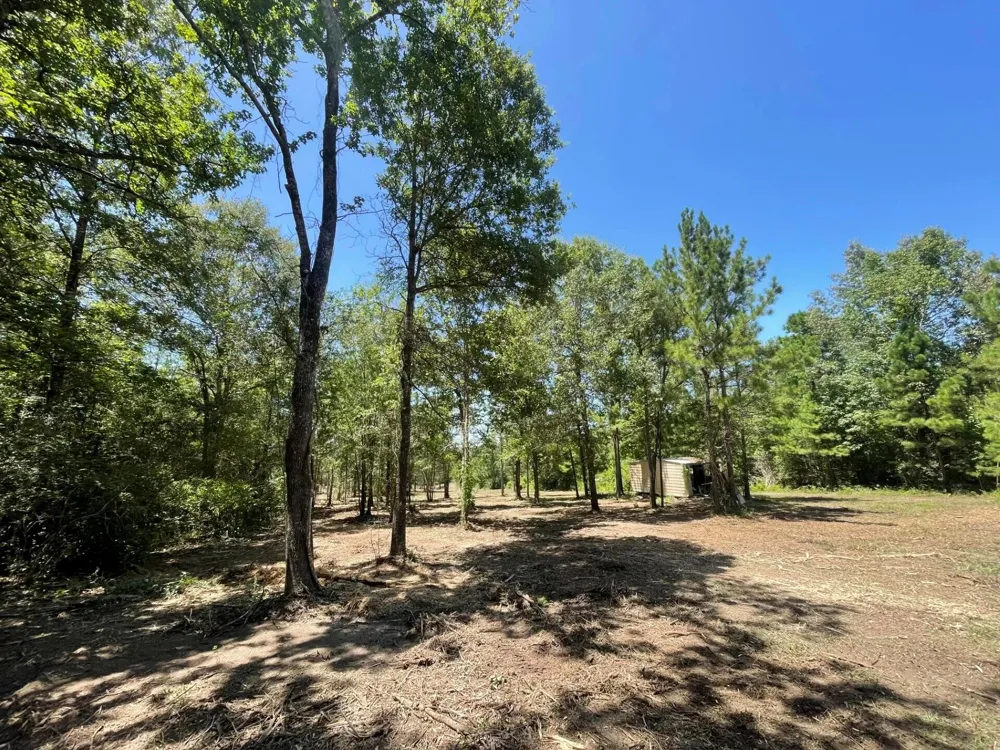 6 E Fm 942 Livingston, TX 77351
