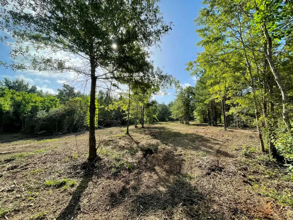 6 E Fm 942 Livingston, TX 77351