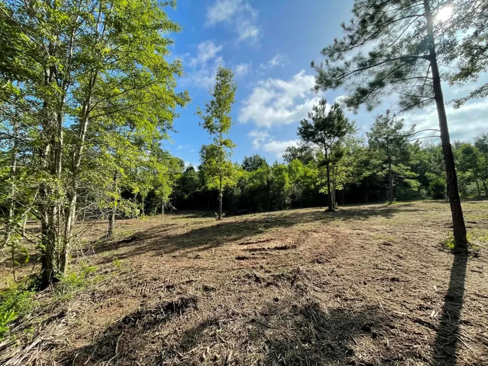 6 E Fm 942 Livingston, TX 77351