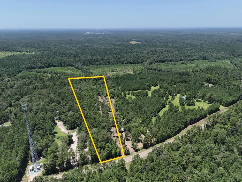 6 E Fm 942 Livingston, TX 77351
