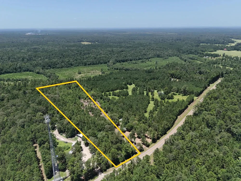 6 E Fm 942 Livingston, TX 77351