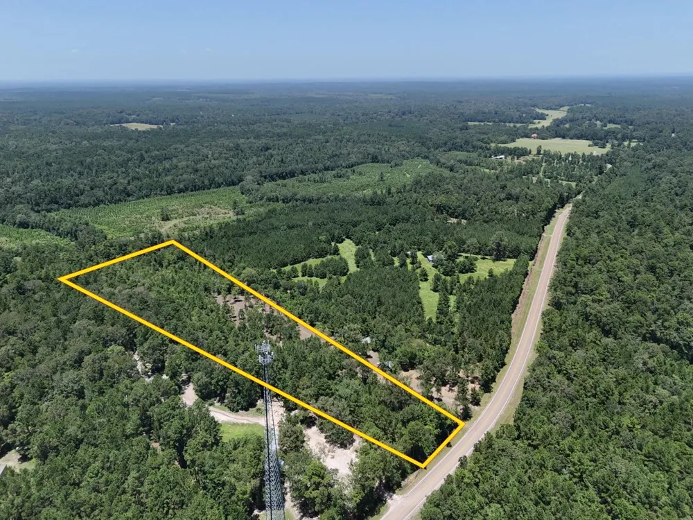 6 E Fm 942 Livingston, TX 77351