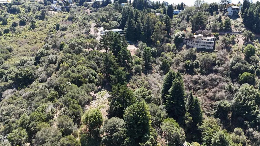 11 Drury Ct Berkeley, CA 94705