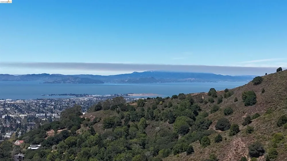 11 Drury Ct Berkeley, CA 94705