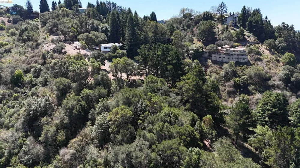 11 Drury Ct Berkeley, CA 94705