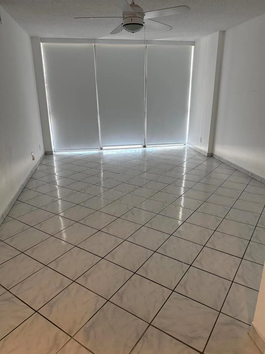 1000 PARKVIEW DRIVE #424 Hallandale Beach, FL 33009