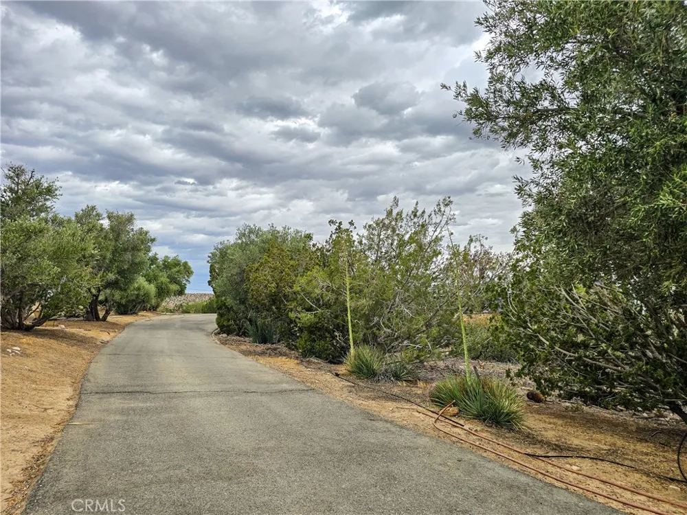 31611 157th E Llano, CA 93544