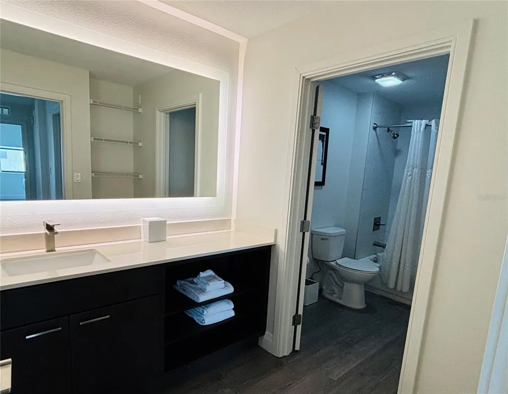 14501 GROVE RESORT AVENUE #3534 Winter Garden, FL 34787