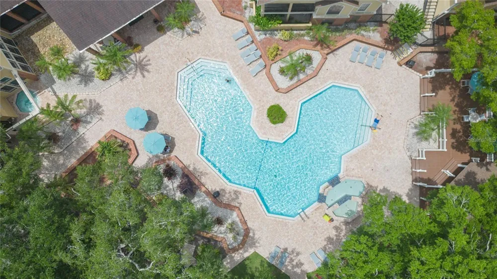 8636 MALLARD RESERVE DRIVE #201 Tampa, FL 33614