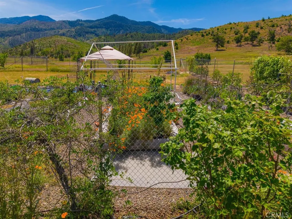 3540 Hilt Hungry Hornbrook, CA 96044