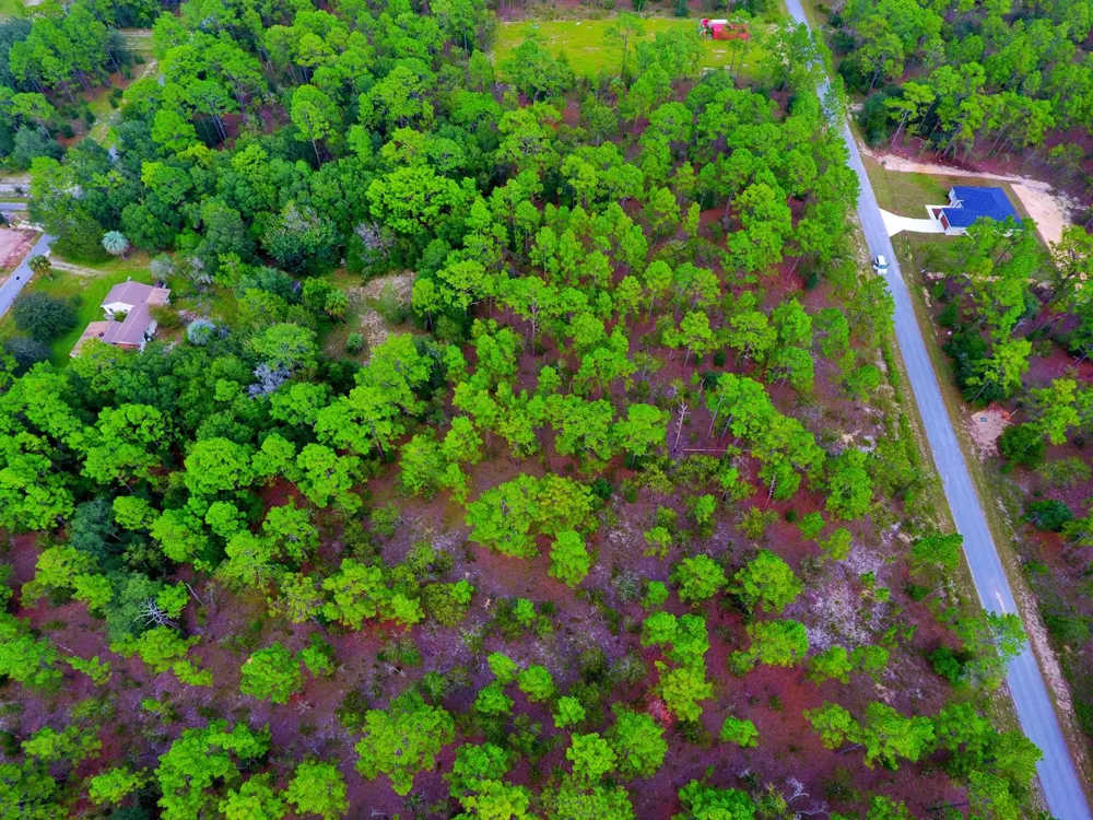 NW Water Oak Avenue 