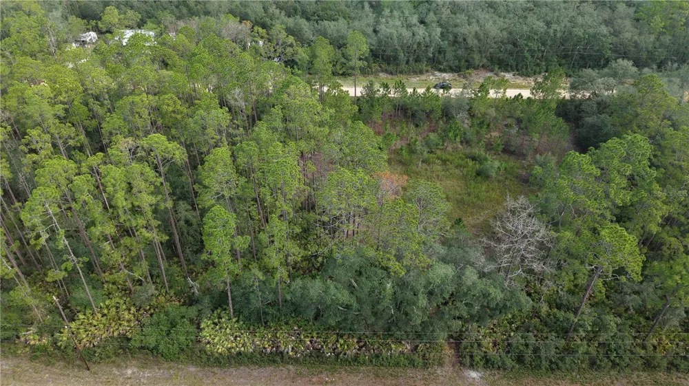 144 GARCIA STREET Interlachen, FL 32148