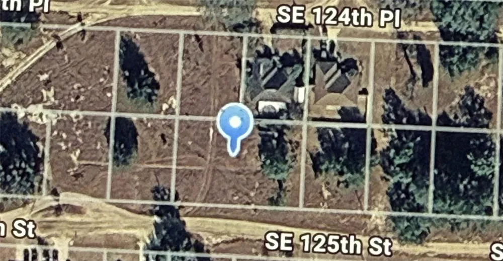 SE 125TH STREET Belleview, FL 34420