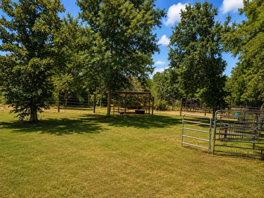 3213 Bob Mathews St Bedias, TX 77831