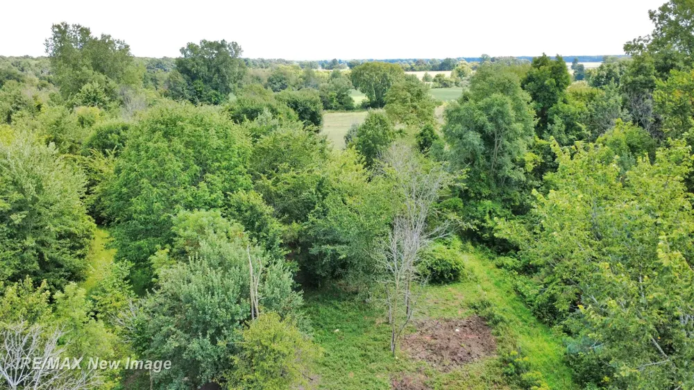 16807 OAKLEY ROAD Chesaning Township, MI 48616