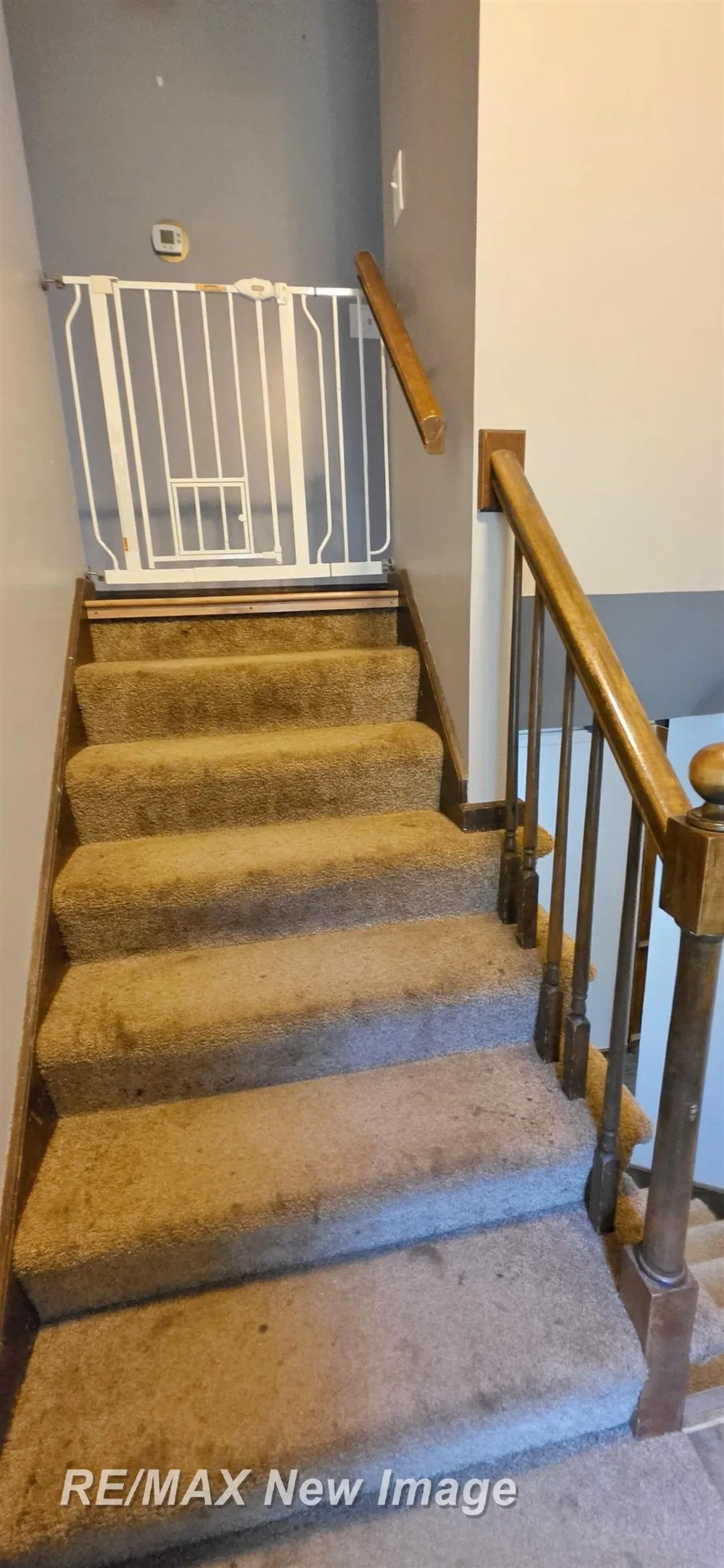 16807 OAKLEY ROAD Chesaning Township, MI 48616