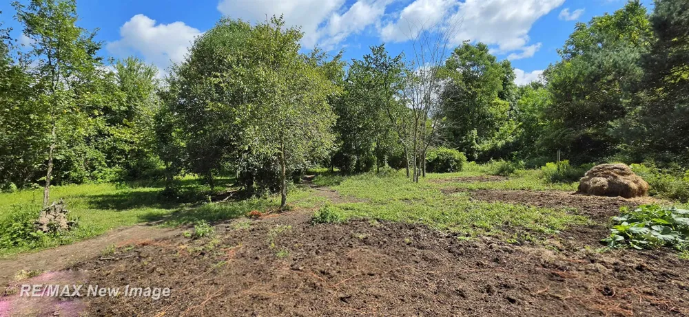 16807 OAKLEY ROAD Chesaning Township, MI 48616