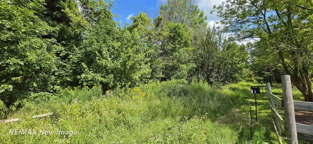 16807 OAKLEY ROAD Chesaning Township, MI 48616