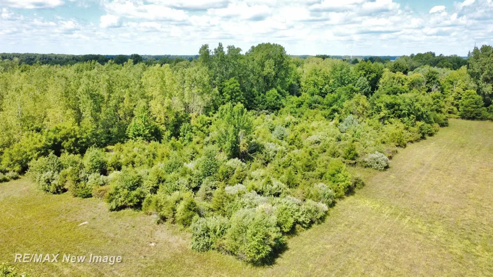 16807 OAKLEY ROAD Chesaning Township, MI 48616