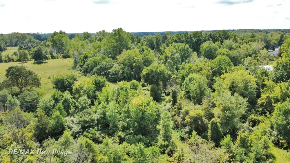 16807 OAKLEY ROAD Chesaning Township, MI 48616