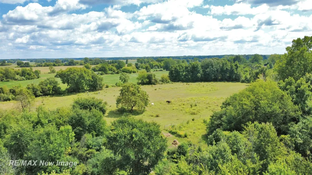 16807 OAKLEY ROAD Chesaning Township, MI 48616