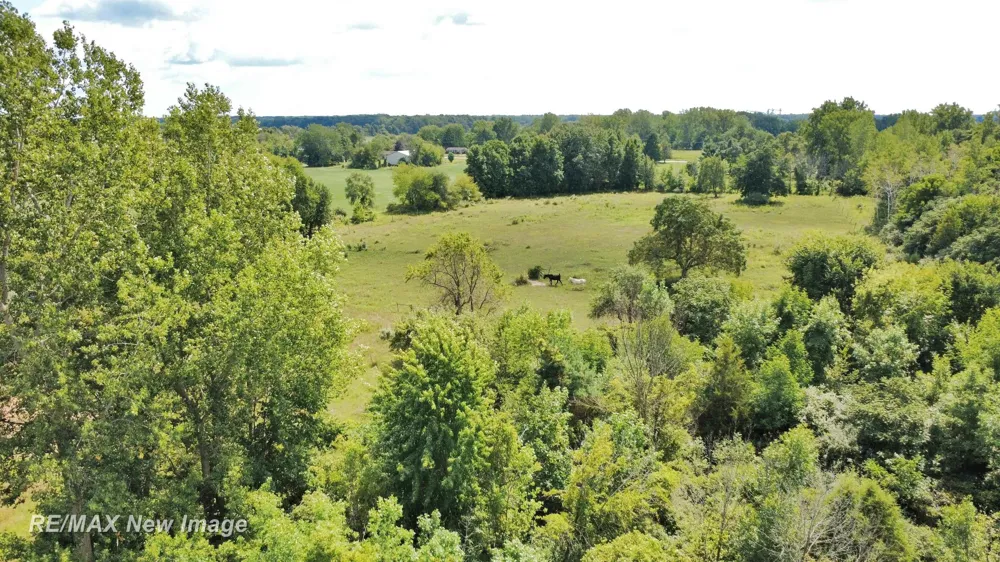 16807 OAKLEY ROAD Chesaning Township, MI 48616