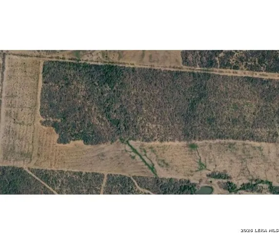 00-0 FM 472 Bigfoot, TX 78005