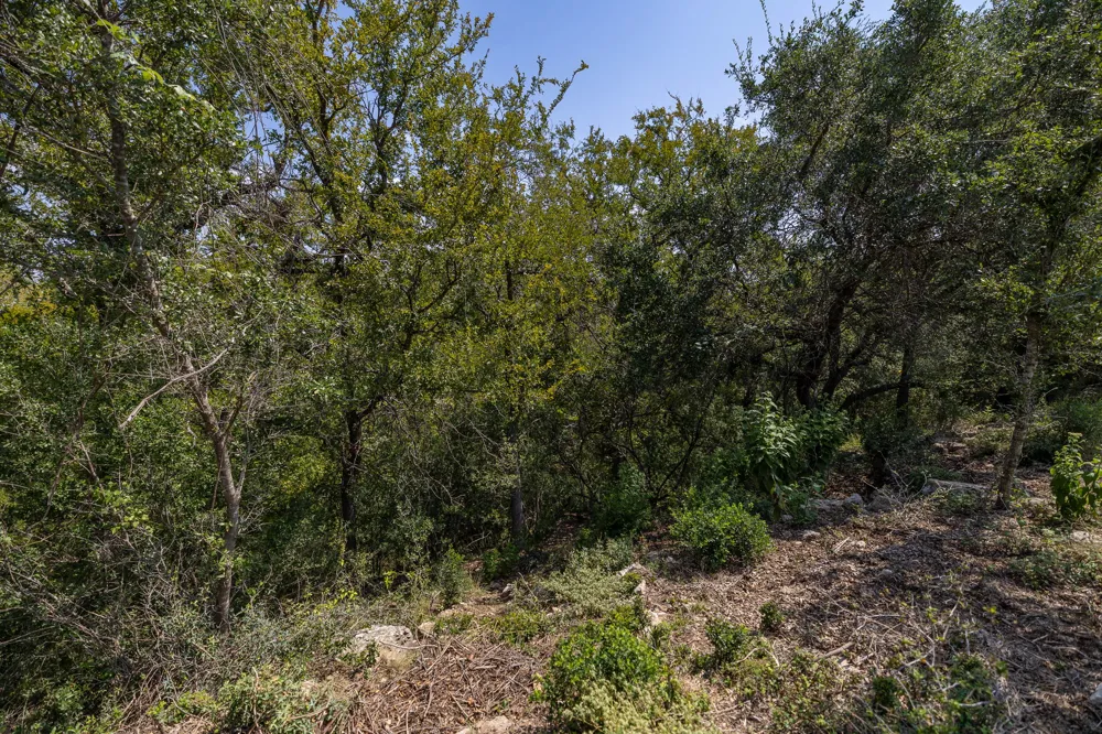 128 Hidden Springs Court Spicewood, TX 78669